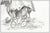 Traditional 1970s The Elder Study, Joe Beeler For Sale - Image 3 of 4