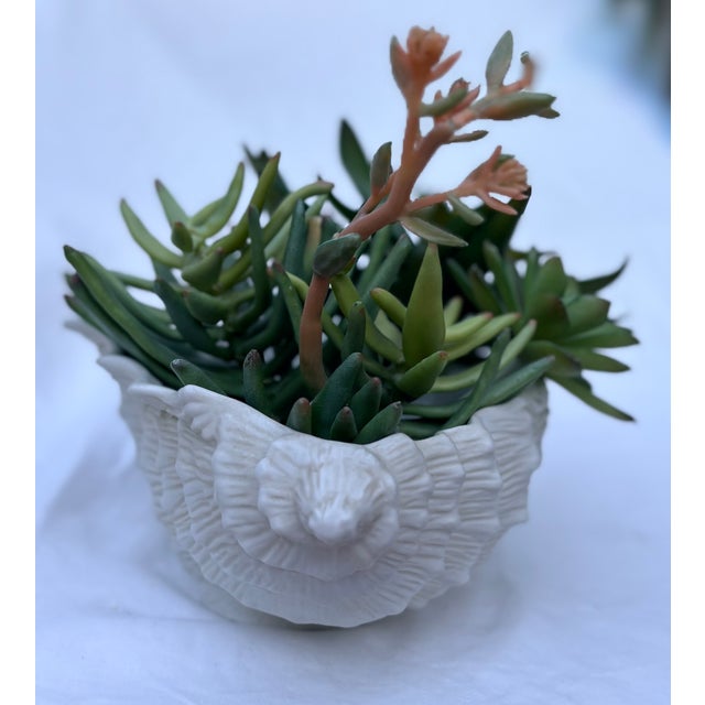 Trompe-L’oeil White Conch Shell Porcelain Bowl/Planter For Sale - Image 9 of 9