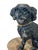 Antique French spaniel or poodle dog. Dog is black painted lead figure with gold collar. He is glued to a stone. Sourced...