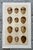 Set of 8 English Late 19th Chromolithographs of Bird Eggs For Sale In Palm Springs - Image 6 of 10