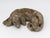 Sculpture Materials Reconstituted Stone Dog Spaniel Garden Ornament, England 20th Century For Sale - Image 7 of 9