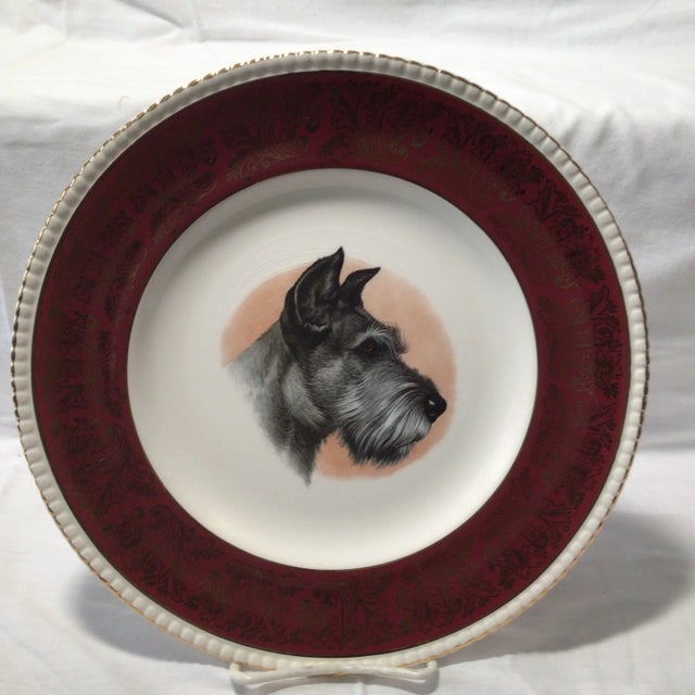 Vintage Solian Ware Simpson's Potters Ltd Cobridge England Schnauzer Dog Plate For Sale - Image 13 of 13
