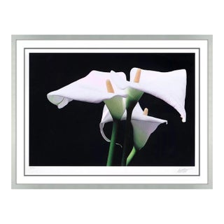 1980s Calla Lily Munich, Ernst Haas For Sale