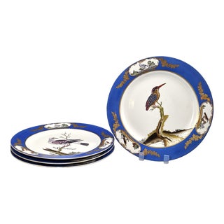 Royal Blue Bird Display Plates from Chelsea House, 1980s, Set of 4 For Sale