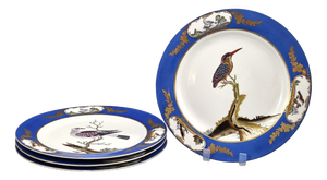 Royal Blue Bird Display Plates from Chelsea House, 1980s, Set of 4