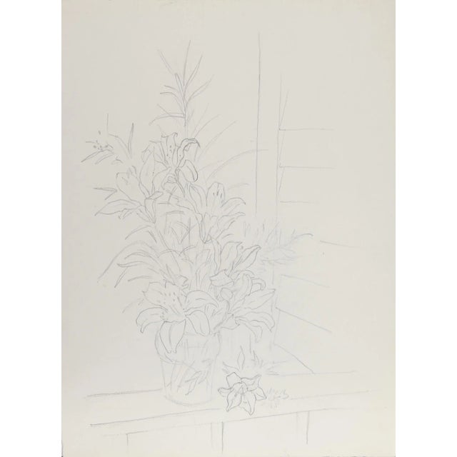 Artist: Eve Nethercott, American (1925 - 2015) Title: Lilies (45) Year: circa 1958 Medium: Pencil on Paper Size: 15 in. x...