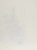 Artist: Eve Nethercott, American (1925 - 2015) Title: Lilies (45) Year: circa 1958 Medium: Pencil on Paper Size: 15 in. x...