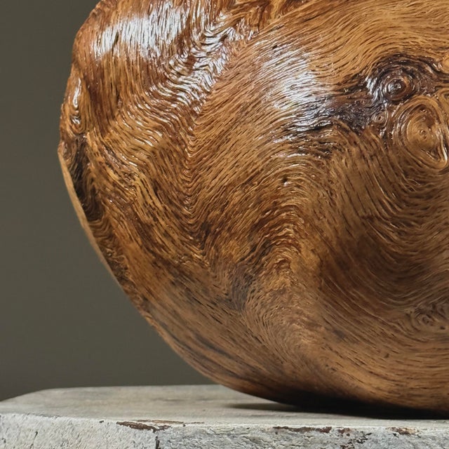 Vintage Abstract Organic Modern Burl Wood Sculpture For Sale In Philadelphia - Image 6 of 10