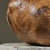 Vintage Abstract Organic Modern Burl Wood Sculpture For Sale In Philadelphia - Image 6 of 10