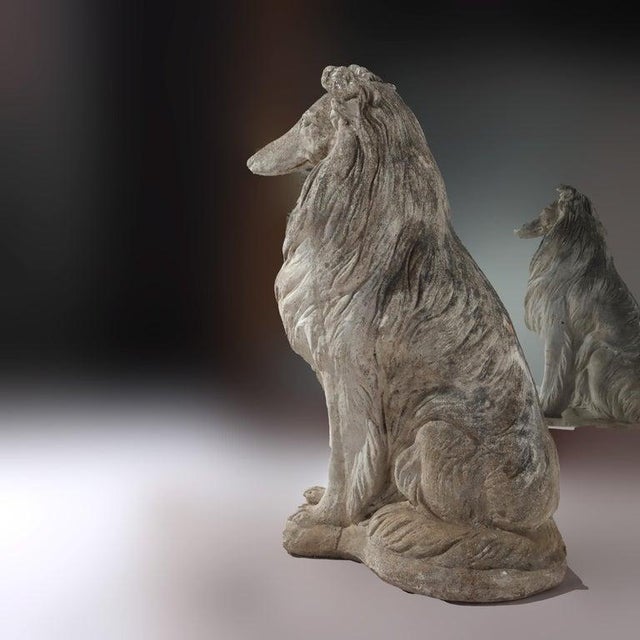 Stone 1950s Hardstone Life Sized Collie Dog Garden Statue For Sale - Image 7 of 9