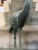 Bronze Verdigris Fountain Cranes, a Pair For Sale - Image 15 of 17