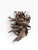 Wood Large Mid-20th Century African Guéré (Wè) Gela Horn "War" Power Mask on Custom Stand For Sale - Image 7 of 8