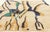 Contemporary Vintage Beni Ourain Moroccan Rug, 06'09 X 09'06 For Sale - Image 3 of 10