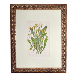 Antique Botanical Lithograph Yellow Floral Bouquet C. 1860