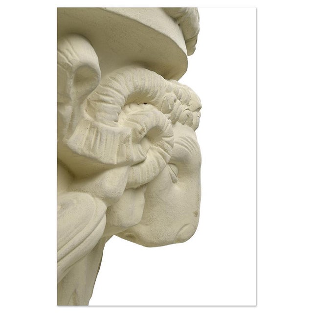 Decorative Urn in White Terracotta For Sale - Image 5 of 9