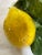 Ceramic Capodimonte Lemon Candles Holders, Set of Two For Sale - Image 7 of 12