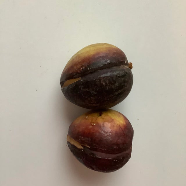 These beautiful plums have such amazing colors from light greens to dark rich purple causing them to look so realistic and...