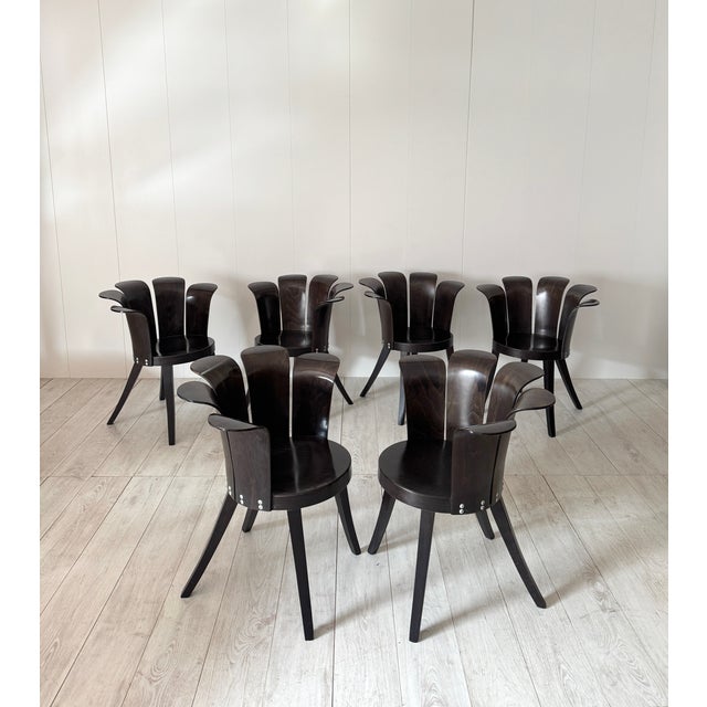 Modern Fiore Chairs by Miro Harold, 1980s, Set of 6 For Sale - Image 3 of 18