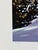 1990s Jocelyn Lillpop Russell Sand Dunes Delegation Signed Numbered Wildlife Print Mule Deere Mountains For Sale - Image 6 of 8