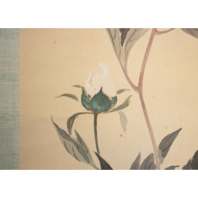 "Sleeping Cat and Peony Flower" by Shuto, Japanese Silk Scroll Watercolor Painting For Sale - Image 9 of 18