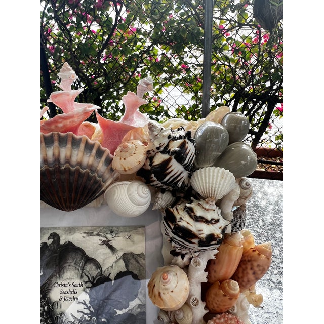 Christa's South Seashells CSS Seashell Photo Frame For Sale - Image 4 of 8