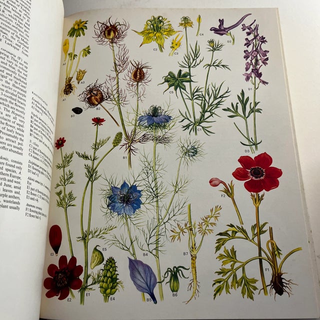 1970 Wild Flowers of the World Book For Sale In New York - Image 6 of 11
