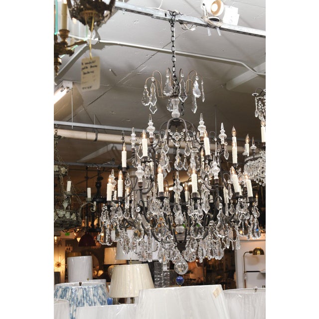 Early 20th Century XL 18-Light Crystal & Bronze Louis XV Chandelier France For Sale In Atlanta - Image 6 of 14