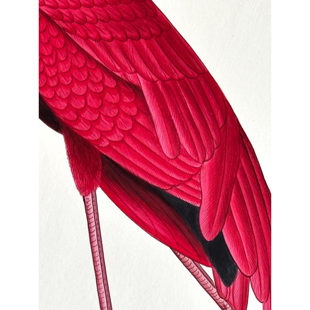 Large Original Hand-Painted Flamingo Painting, Framed For Sale - Image 4 of 4