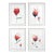 Organic Modern Florals — Set of Four Original Oil Paintings | Unframed For Sale