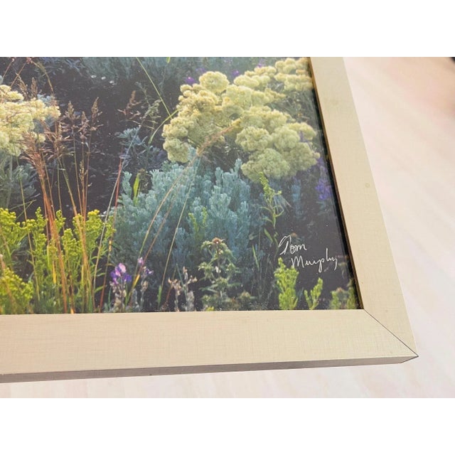 Farmhouse 2008 Sage Buckwheat Lupine Print Signed by Artist Tom Murphy, Framed For Sale - Image 3 of 5