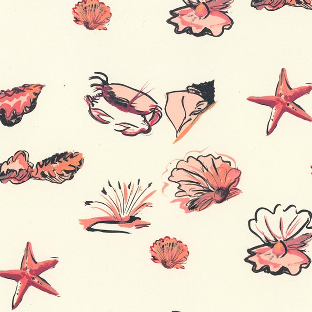 A summer treasure-trove of seashells and crustaceans in a pink and coral color palette.