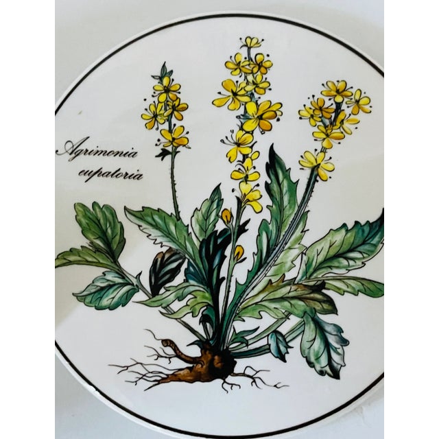 1980s 1980s Boho Villeroy & Boch Porcelain Box Botanical For Sale - Image 5 of 5