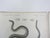 Mid 19th Century Mid 19th Century Us Pacifc Railroad Snakes Lithograph Book Plates - Set of 3 For Sale - Image 5 of 6