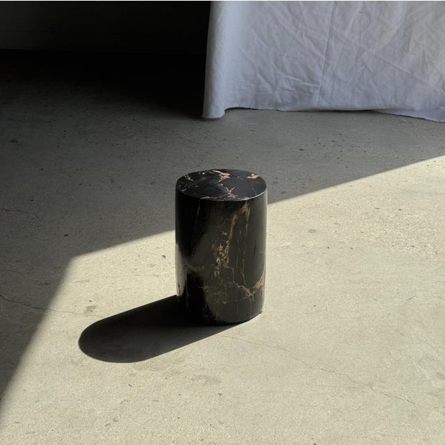 Small Side Table in Black Petrified Wood with Striates and Beige Lower Side For Sale - Image 12 of 18