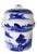 Early 20th Century Blue and White Tea Canister Ginger Jar For Sale - Image 10 of 10