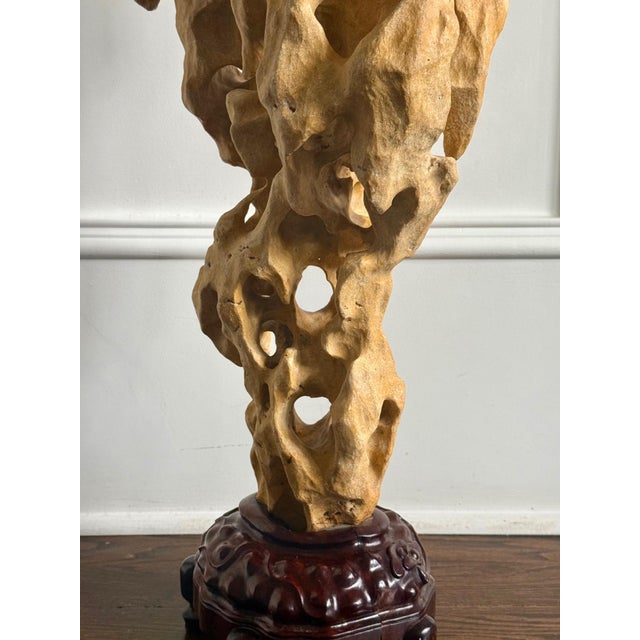 Extraordinary Large Chinese Scholar Rock Yellow Taihu Stone on Wood Stand For Sale - Image 12 of 18