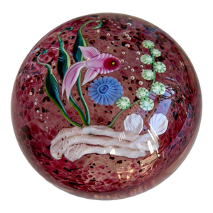 Rare Signed Steven Correa Lampwork Le Paperweight - Fish 16/100