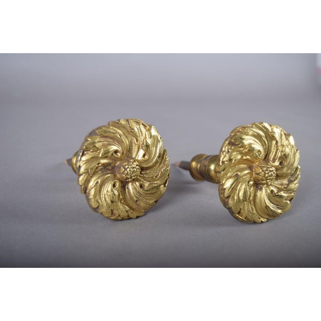 A beautifully cast pair of gilt bronze curtain tiebacks, each featuring a richly modelled floral rosette with radiating...