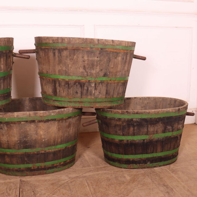 French Grape Picking Tubs, 1920s, Set of 5 For Sale - Image 3 of 7