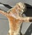 18th Century French Polychrome Wood Corpus Christi Figure For Sale - Image 5 of 10