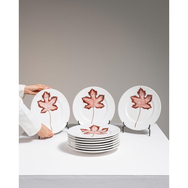 Mid 20th Century Italy White Porcelain Plate For Sale - Image 4 of 15