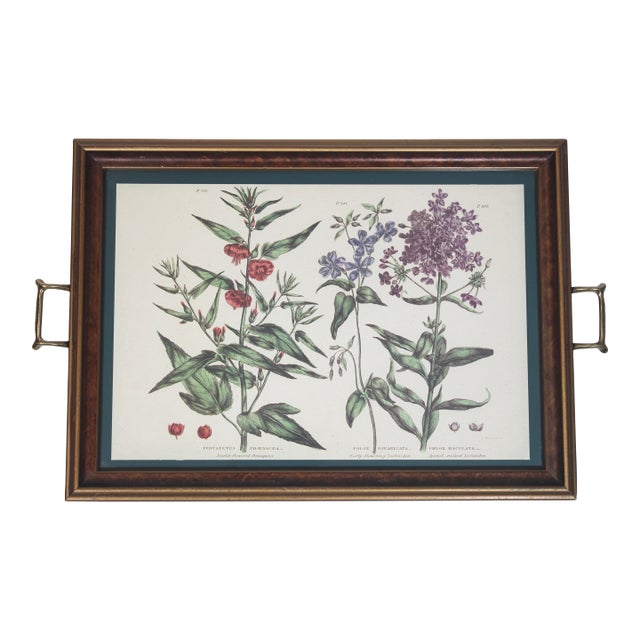 Vintage Botanical Print Tray With Handles For Sale