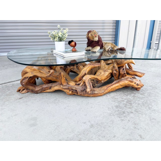 1960s Mid-Century Modern Driftwood Coffee Table With Freeform Glass Top For Sale In Los Angeles - Image 6 of 15