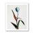 Guy Sargent, Tulip Mania, Print For Sale - Image 4 of 6