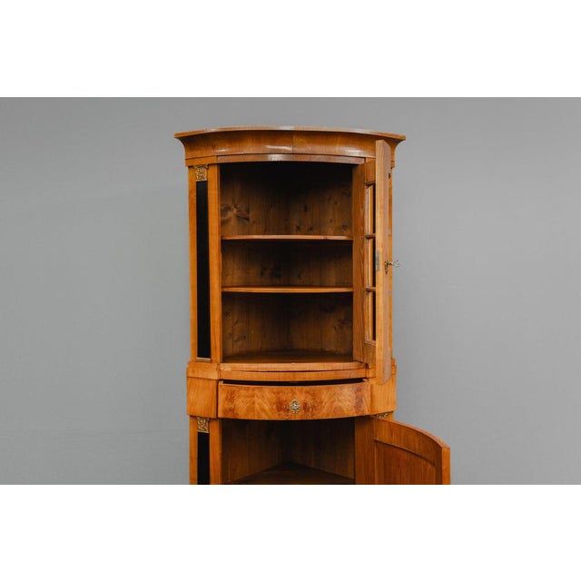 19th Century Biedermeier Corner Display Cabinet For Sale - Image 12 of 18