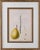 Vintage Botanical Print of “Pear P. Columbia” For Sale