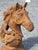 Horse Head Statue in Cast Iron For Sale - Image 3 of 8