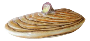 Italian Shell Serving Dish