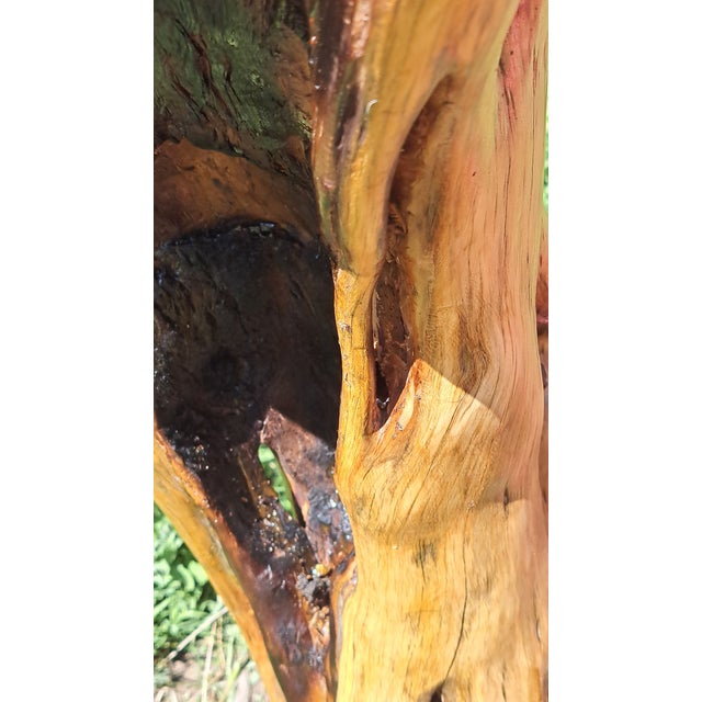 hand carved old juniper trunk, is measured at 40" tall, 11" wide 13" depth by artist and knife forger. found in desert by...