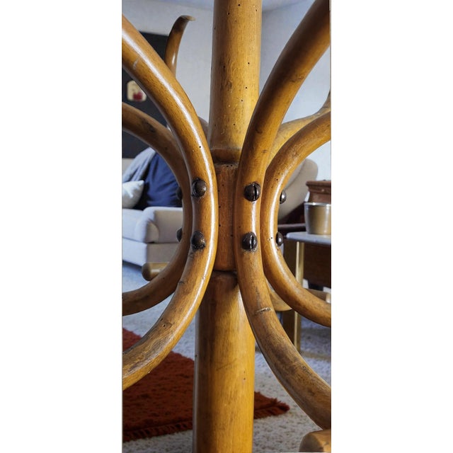 Vintage Parrot Coat Rack from Baumann, 1930s For Sale - Image 4 of 9
